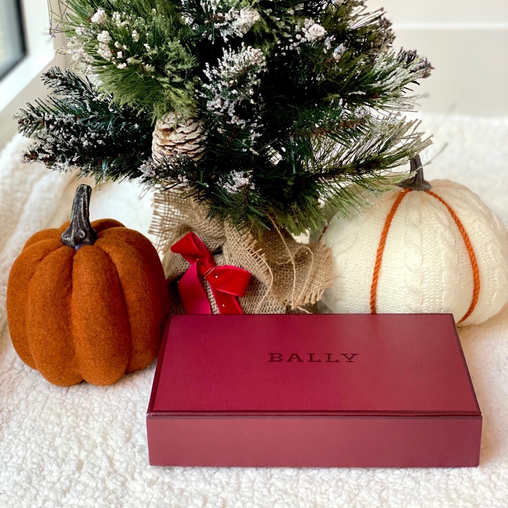 Bally Burgundy Leather Accessory Box